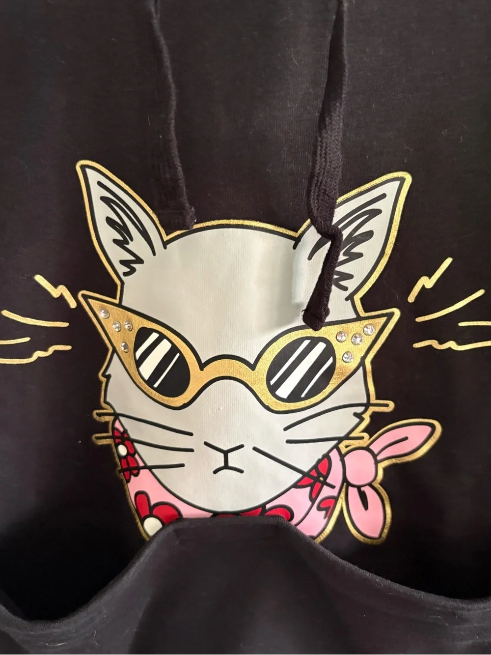 BOBS From Sketchers Black Hoodie Featuring a graphic cat